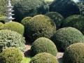 IMG_20260422_145048