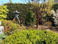 IMG_20260422_145238