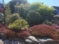 IMG_20260422_145421