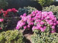 IMG_20260422_145528_hdr