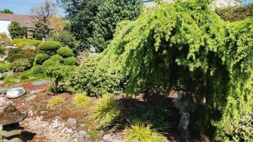 JardinPassionValenciennes0038