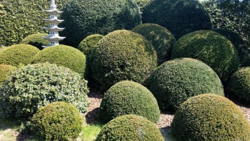 JardinPassionValenciennes0053