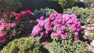 JardinPassionValenciennes0062