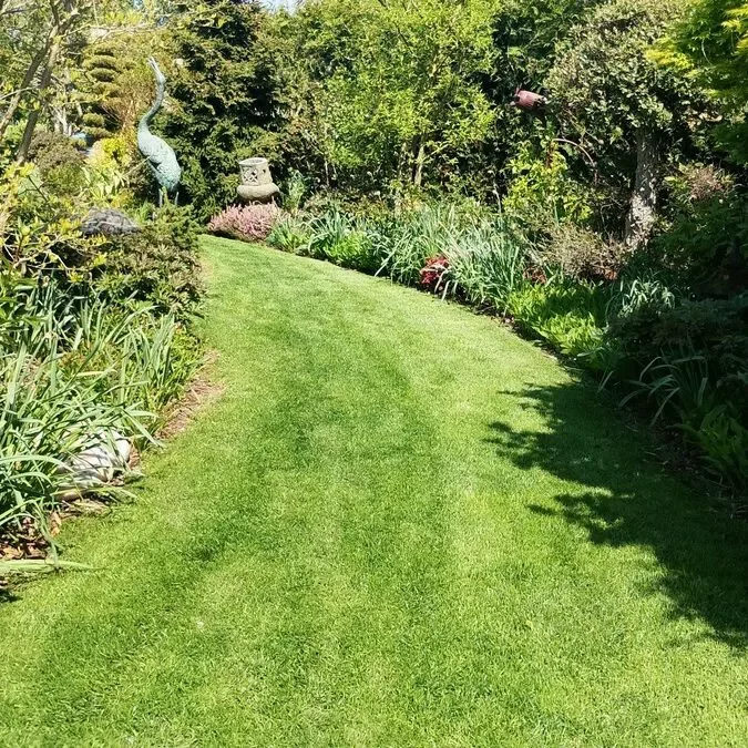 Conception et aménagement personnalisé d'un jardin