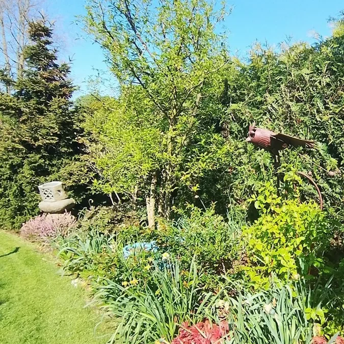 Création paysagère associant différents styles de jardins